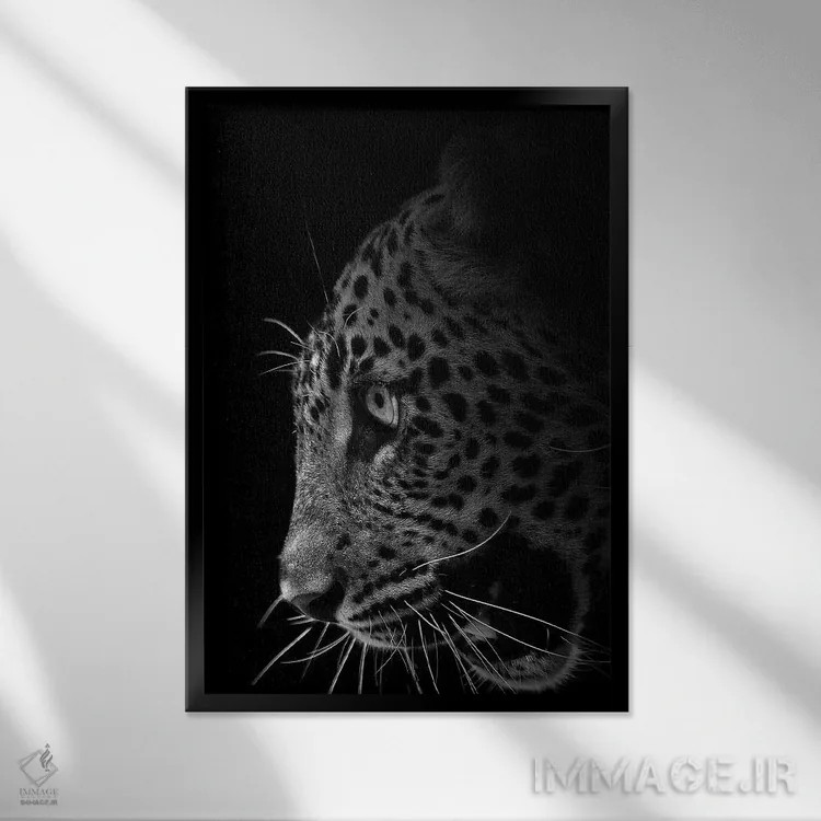 تابلو دکوراتیو خارج از تاریکی اثر پاتریک ون بکم - نمای قابدار مشکی