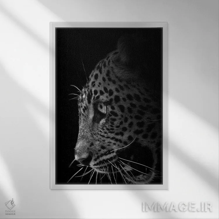 تابلو دکوراتیو خارج از تاریکی اثر پاتریک ون بکم - نمای قابدار سفید