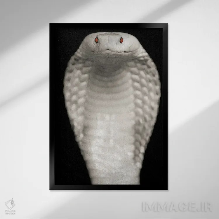 تابلو دکوراتیو کبرا اثر پاتریک ون بکم - نمای قابدار مشکی