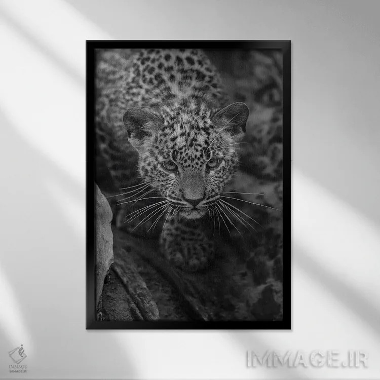 تابلو دکوراتیو پلنگ جوان اثر پاتریک ون بکم - نمای قابدار مشکی