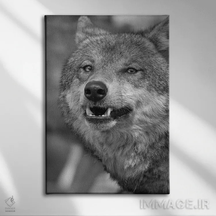تابلو دکوراتیو چهره عبوس اثر پاتریک ون بکم - نمای روبهرو روی دیوار