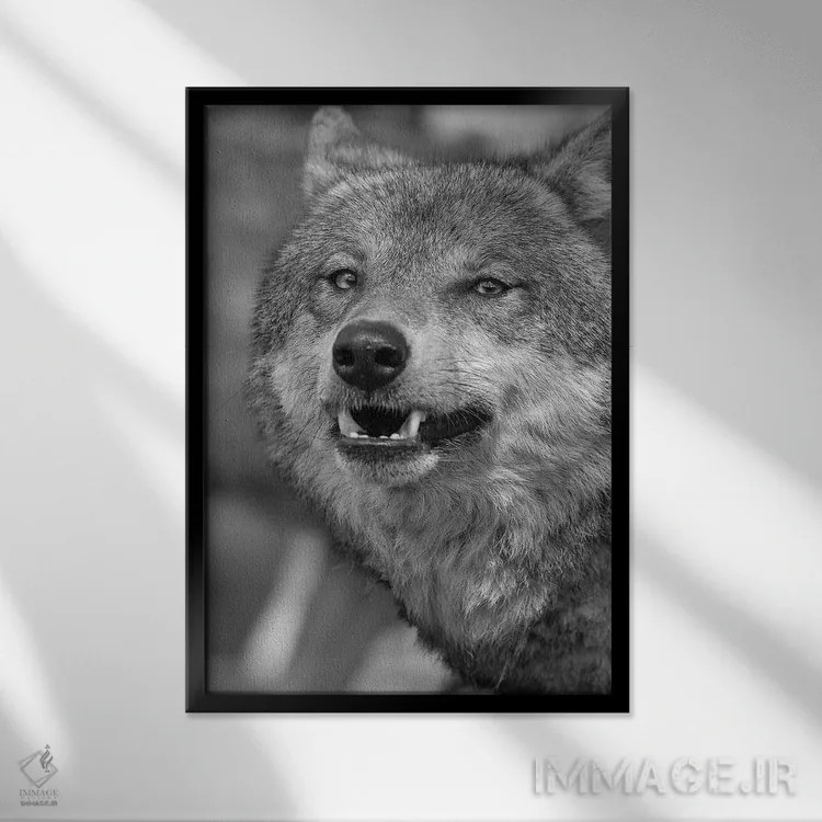تابلو دکوراتیو چهره عبوس اثر پاتریک ون بکم - نمای قابدار مشکی