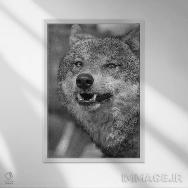 تابلو دکوراتیو چهره عبوس اثر پاتریک ون بکم - نمای قابدار سفید