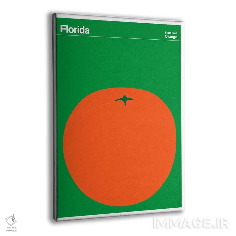 تابلو مینیمال پوسترهای ایالتی فلوریدا اثر پرینت کالکشن - نمای پرسپکتیو محصول