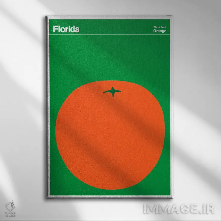 تابلو مینیمال پوسترهای ایالتی فلوریدا اثر پرینت کالکشن - نمای روبهرو روی دیوار