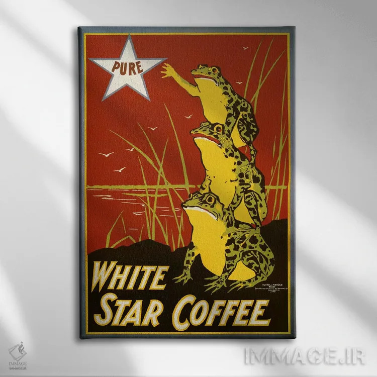 تابلو دکوراتیو قهوه ستاره سفید خالص، قورباغه ها اثر پرینت کالکشن - نمای روبهرو روی دیوار