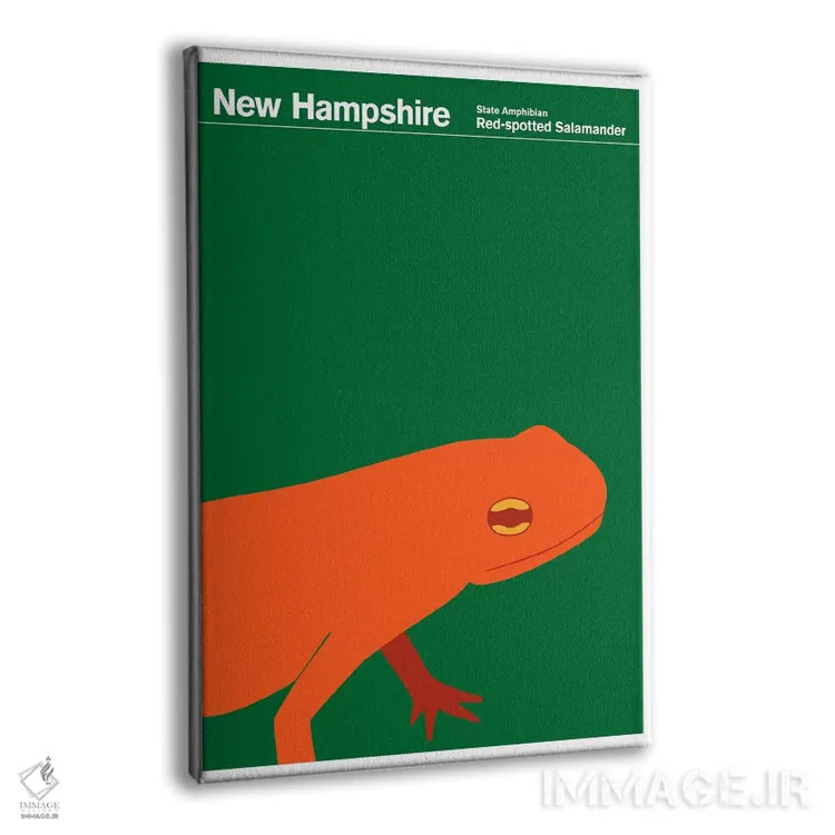 تابلو دکوراتیو پوسترهای ایالتی نیوهمپشایر اثر پرینت کالکشن - نمای پرسپکتیو محصول