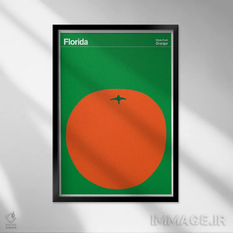 تابلو مینیمال پوسترهای ایالتی فلوریدا اثر پرینت کالکشن - نمای قابدار مشکی