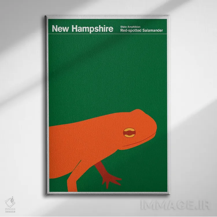 تابلو دکوراتیو پوسترهای ایالتی نیوهمپشایر اثر پرینت کالکشن - نمای روبهرو روی دیوار