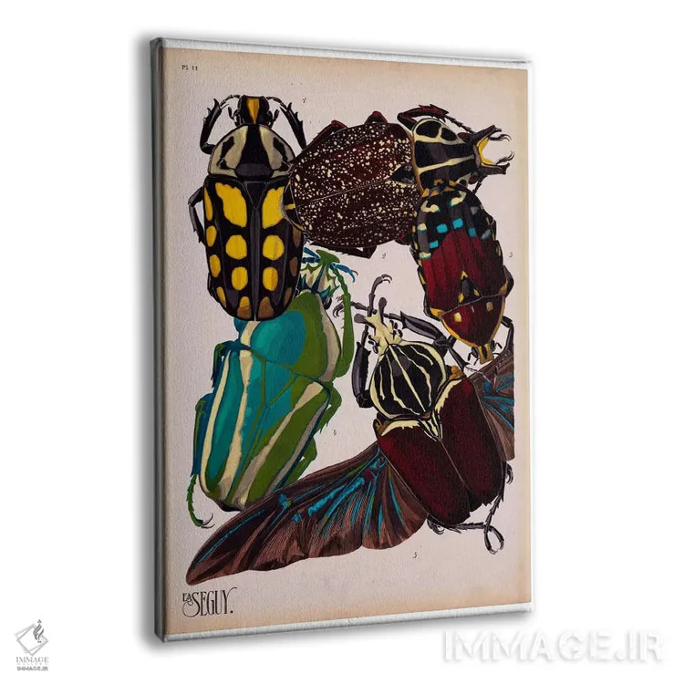 تابلو دکوراتیو حشرات، صفحه ۳ اثر ای.آ. سگوی - نمای پرسپکتیو محصول