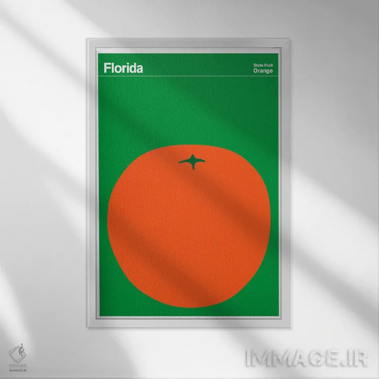 تابلو مینیمال پوسترهای ایالتی فلوریدا اثر پرینت کالکشن - نمای قابدار سفید