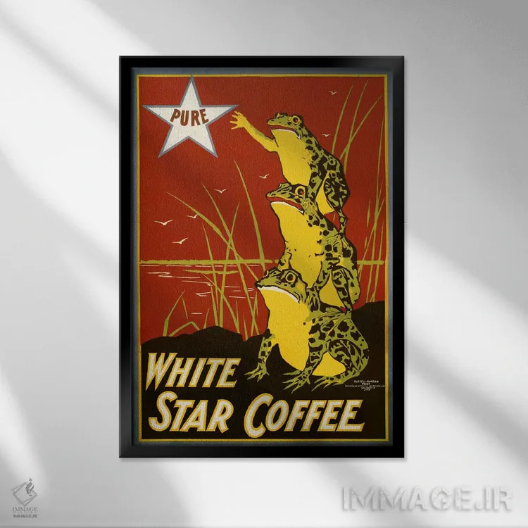 تابلو دکوراتیو قهوه ستاره سفید خالص، قورباغه ها اثر پرینت کالکشن - نمای قابدار مشکی