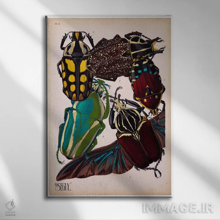 تابلو دکوراتیو حشرات، صفحه ۳ اثر ای.آ. سگوی - نمای روبهرو روی دیوار