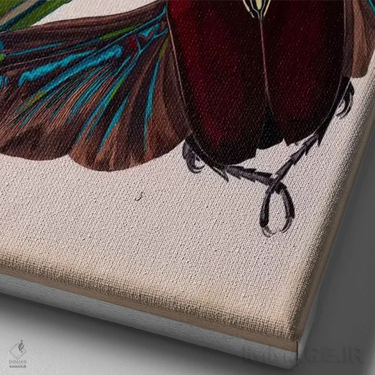 تابلو دکوراتیو حشرات، صفحه ۳ اثر ای.آ. سگوی - نمای نزدیک بافت بوم