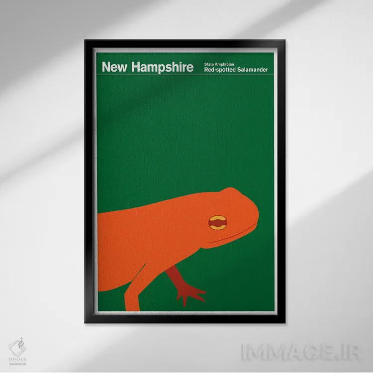 تابلو دکوراتیو پوسترهای ایالتی نیوهمپشایر اثر پرینت کالکشن - نمای قابدار مشکی