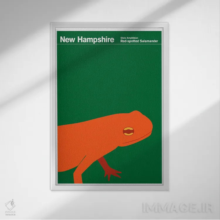 تابلو دکوراتیو پوسترهای ایالتی نیوهمپشایر اثر پرینت کالکشن - نمای قابدار سفید