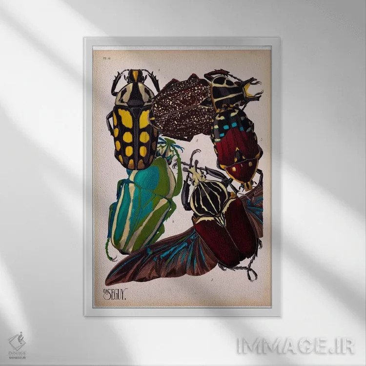 تابلو دکوراتیو حشرات، صفحه ۳ اثر ای.آ. سگوی - نمای قابدار سفید