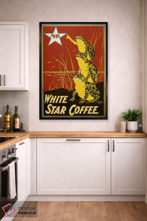 تابلو دکوراتیو قهوه ستاره سفید خالص، قورباغه ها اثر پرینت کالکشن - D2B