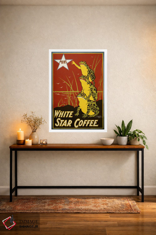 تابلو دکوراتیو قهوه ستاره سفید خالص، قورباغه ها اثر پرینت کالکشن - D4W