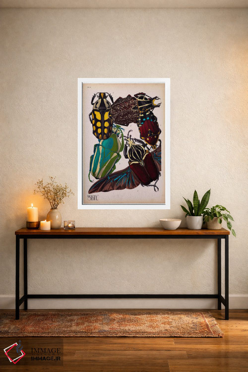 تابلو دکوراتیو حشرات، صفحه ۳ اثر ای.آ. سگوی - D1W