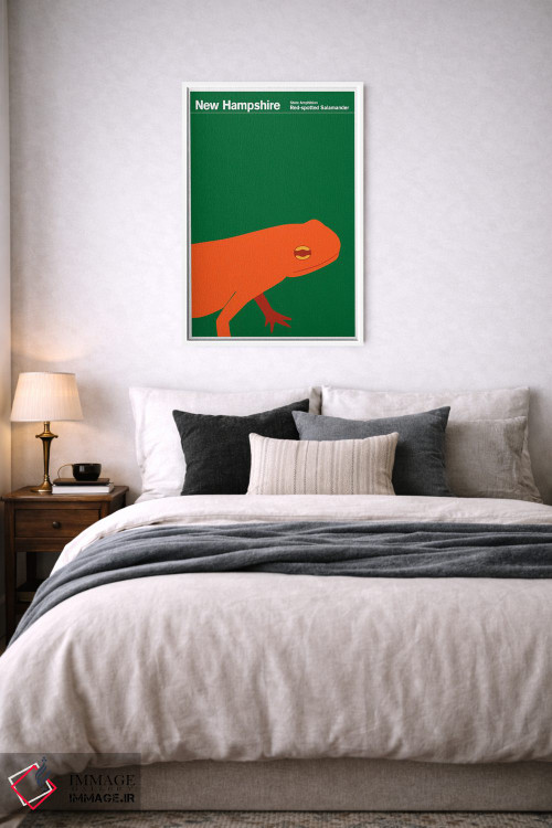 تابلو دکوراتیو پوسترهای ایالتی نیوهمپشایر اثر پرینت کالکشن - D6W