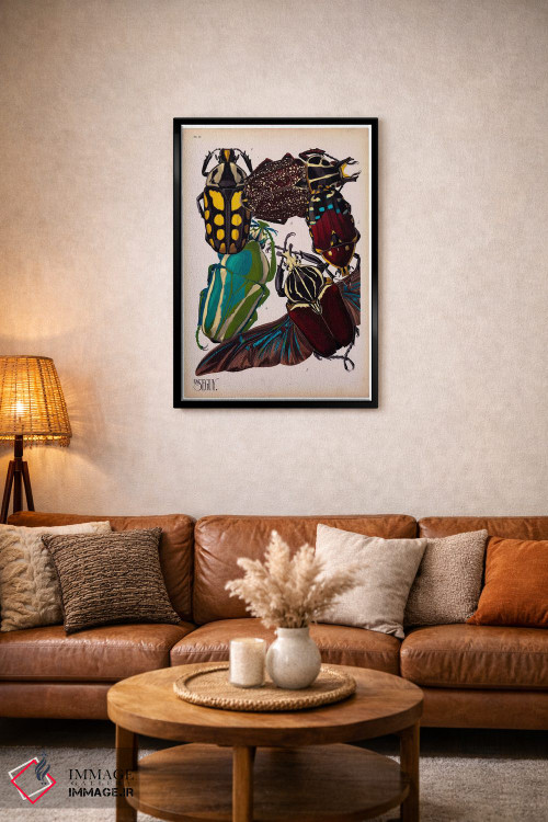 تابلو دکوراتیو حشرات، صفحه ۳ اثر ای.آ. سگوی - D3B