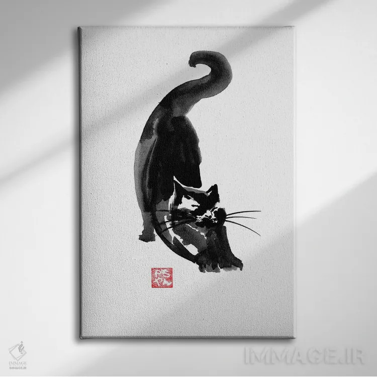 تابلو دکوراتیو گربه در حالت کشش اثر پشان - نمای روبهرو روی دیوار