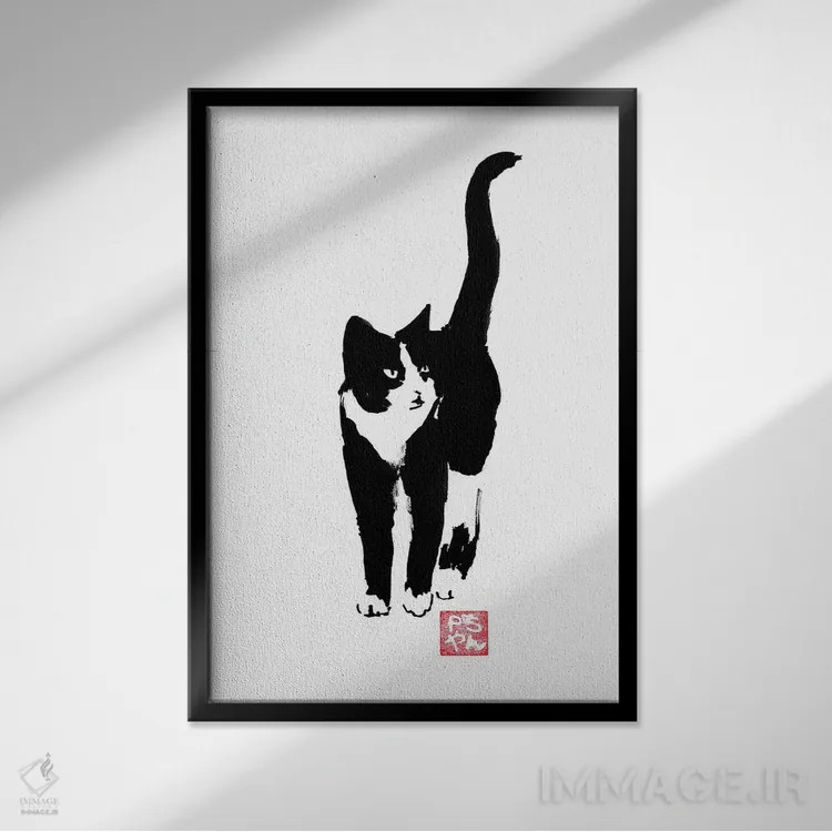 تابلو دکوراتیو گربه خیابانی اثر پشان - نمای قابدار مشکی