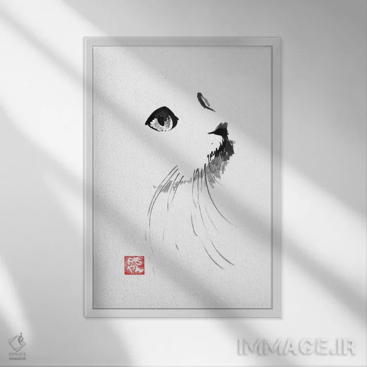 تابلو مینیمال گربه سفیدپوش اثر پشان - نمای قابدار سفید