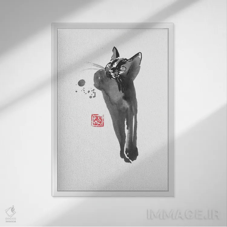 تابلو دکوراتیو گربه آرام اثر پشان - نمای قابدار سفید