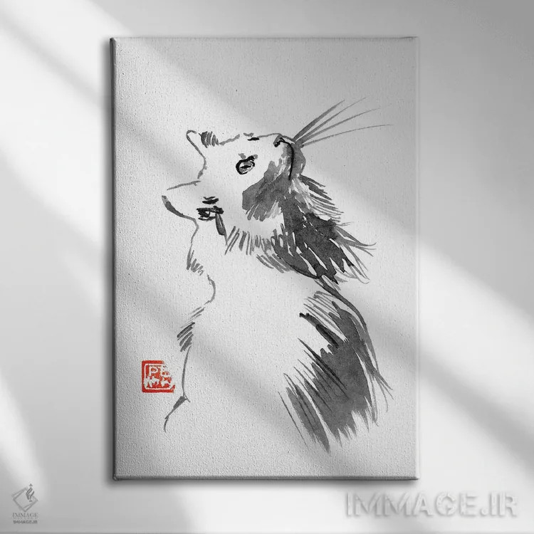 تابلو دکوراتیو گربه سفید اثر پشان - نمای روبهرو روی دیوار