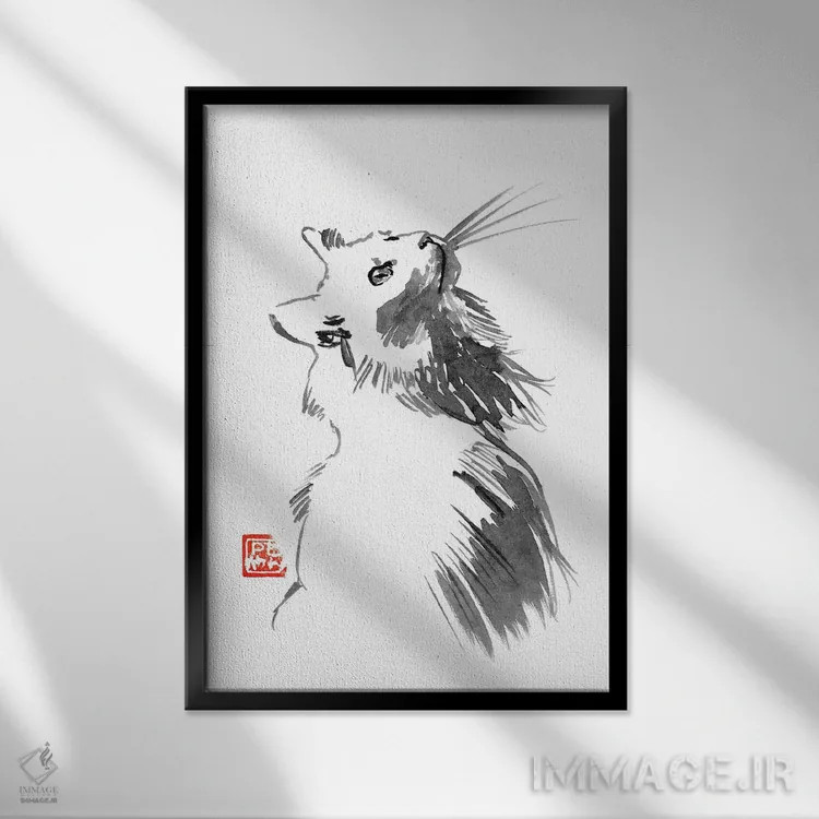 تابلو دکوراتیو گربه سفید اثر پشان - نمای قابدار مشکی