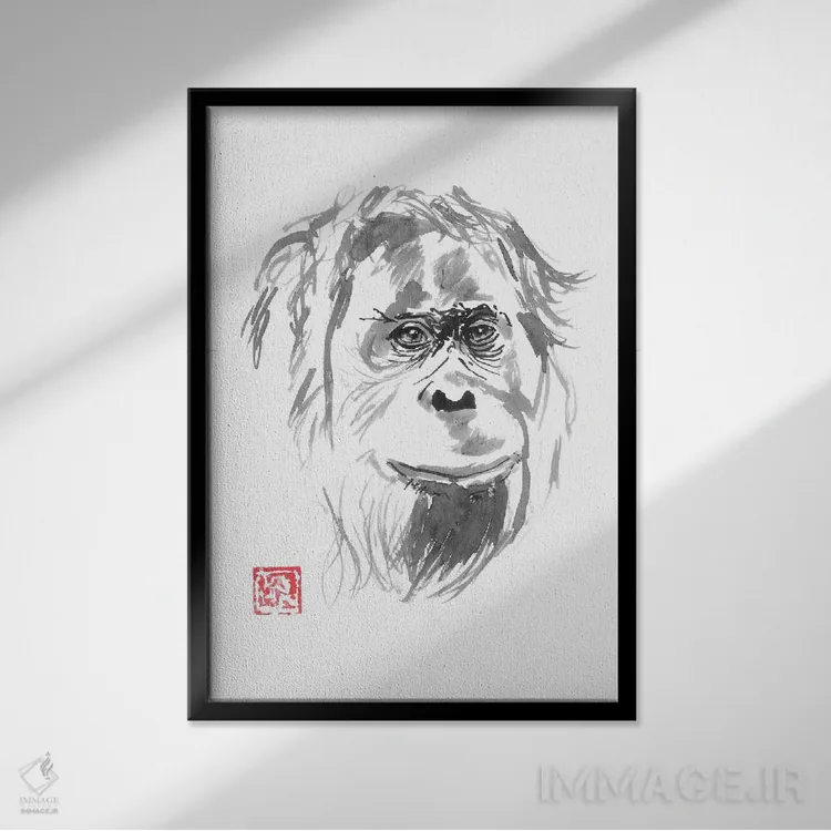 تابلو دکوراتیو لبخند اورانگوتان اثر پشان - نمای قابدار مشکی