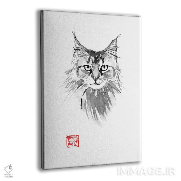 تابلو دکوراتیو مین کوون اثر پشان - نمای پرسپکتیو محصول