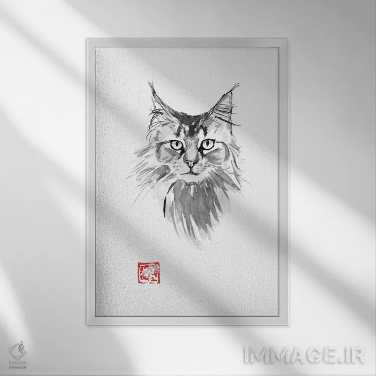 تابلو دکوراتیو مین کوون اثر پشان - نمای قابدار سفید