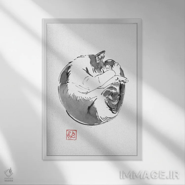 تابلو دکوراتیو گربه گرد اثر پشان - نمای قابدار سفید