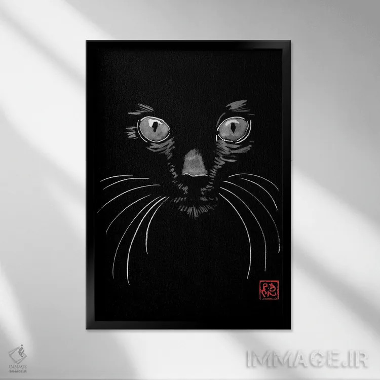 تابلو دکوراتیو گربه سیاه در سیاه اثر پشان - نمای قابدار مشکی