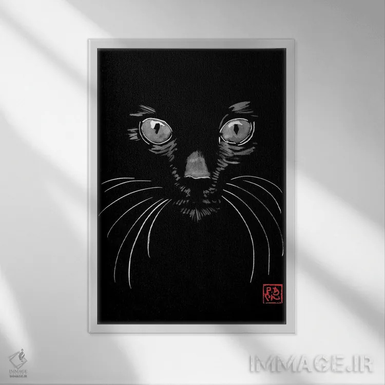 تابلو دکوراتیو گربه سیاه در سیاه اثر پشان - نمای قابدار سفید