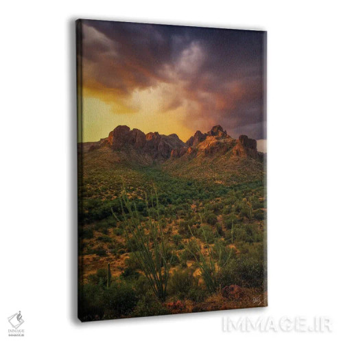 تابلو دکوراتیو محاصره شده اثر پیتر کسکن - نمای پرسپکتیو محصول