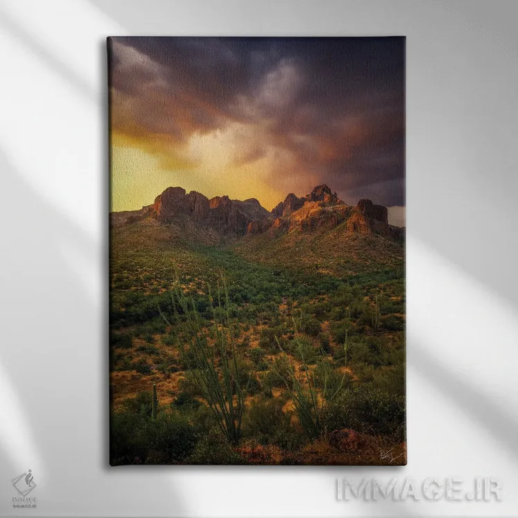 تابلو دکوراتیو محاصره شده اثر پیتر کسکن - نمای روبهرو روی دیوار