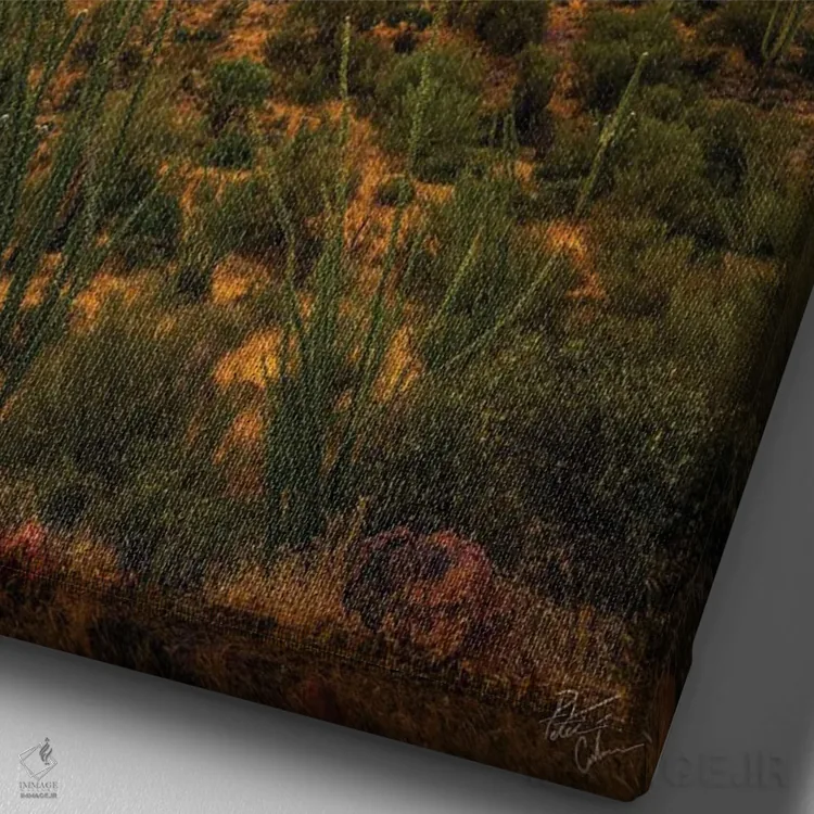 تابلو دکوراتیو محاصره شده اثر پیتر کسکن - نمای نزدیک بافت بوم