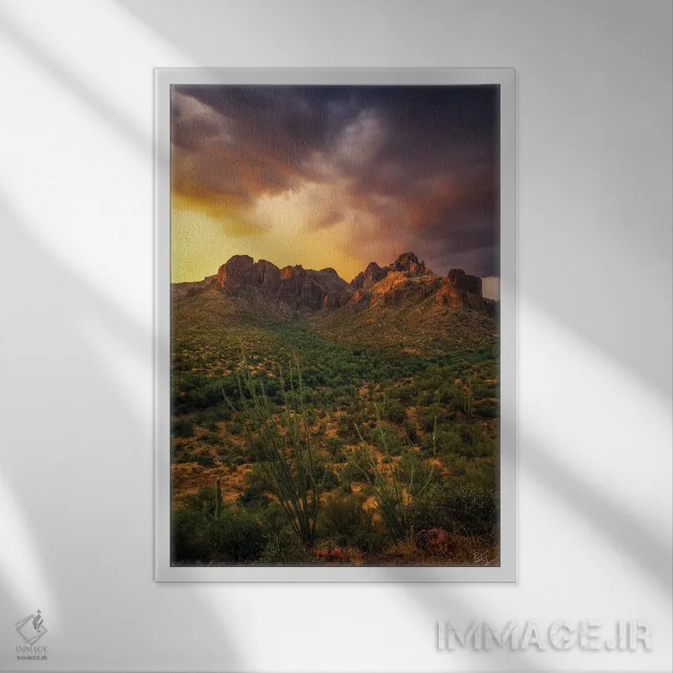 تابلو دکوراتیو محاصره شده اثر پیتر کسکن - نمای قابدار سفید