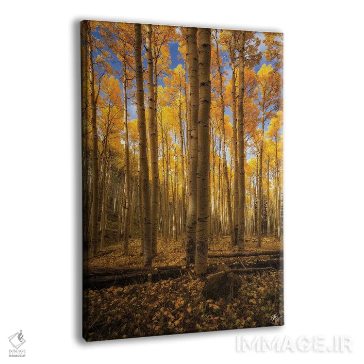 تابلو دکوراتیو ایستاده در اسپن اثر پیتر کسکن - نمای پرسپکتیو محصول