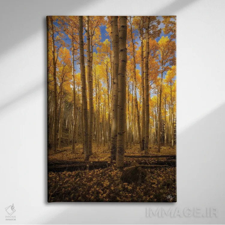 تابلو دکوراتیو ایستاده در اسپن اثر پیتر کسکن - نمای روبهرو روی دیوار