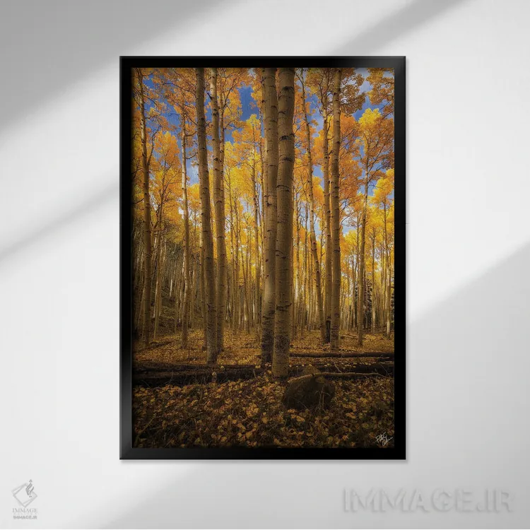 تابلو دکوراتیو ایستاده در اسپن اثر پیتر کسکن - نمای قابدار مشکی