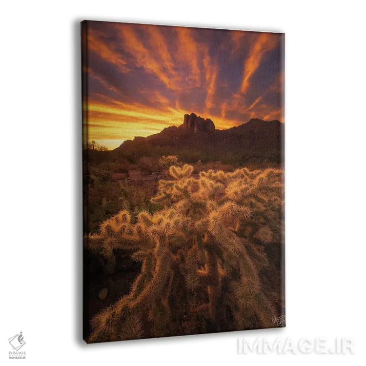 تابلو دکوراتیو ریشه ها اثر پیتر کسکن - نمای پرسپکتیو محصول