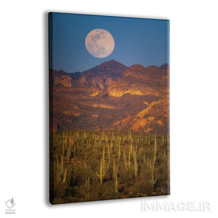 تابلو دکوراتیو طلوع ماه در صحرا اثر پیتر کسکن - نمای پرسپکتیو محصول