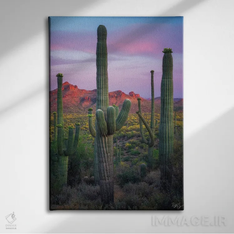 تابلو دکوراتیو ساگوارویل اثر پیتر کسکن - نمای روبهرو روی دیوار