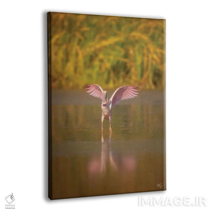 تابلو دکوراتیو به سمت قاشق زنی اثر پیتر کسکن - نمای پرسپکتیو محصول