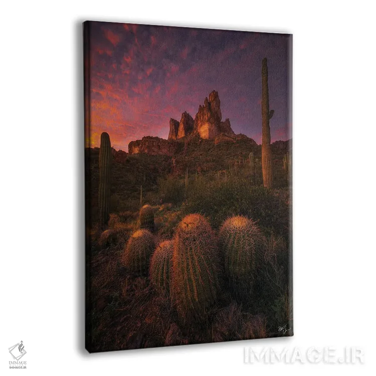 تابلو دکوراتیو گردهمایی خانواده اثر پیتر کسکن - نمای پرسپکتیو محصول